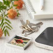 （昆虫）オオカバマダラ、モナークバタフライオンアダリア キーホルダー (側面)