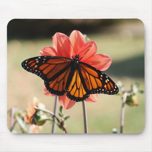 (昆虫)オオカバマダラ、モナークバタフライオンアダリア マウスパッド (正面)