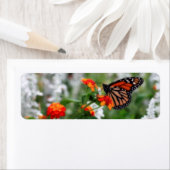 （昆虫）オオカバマダラ、モナークバタフライオンオレンジアンドレッドランタナ ラベル (インサイチュ)