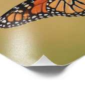 （昆虫）オオカバマダラ、モナークバタフライオンサンフラワー フォトプリント            (角)