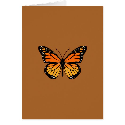 （昆虫）オオカバマダラ、モナークバタフライオンシエナ (正面)