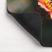 （昆虫）オオカバマダラ、モナークバタフライオンダリア マウスパッド (コーナー)