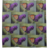 （昆虫）オオカバマダラ、モナークバタフライオンバタフライブッシュ シャワーカーテン (正面)