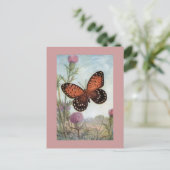 (昆虫)オオカバマダラ、モナークバタフライオンパープルクローバーハガキ ポストカード (スタンド正面)