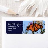 （昆虫）オオカバマダラ、モナークバタフライオンパープルティスルズダークブルー ラベル (インサイチュ)