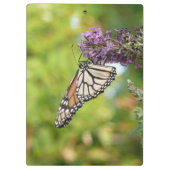 (昆虫)オオカバマダラ、モナークバタフライオンパープルバタフライブッシュ クリップボード (裏面)