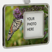 （昆虫）オオカバマダラ、モナークバタフライオンパープルバタフライブッシュ シルバープレートフレームオーナメント (右)