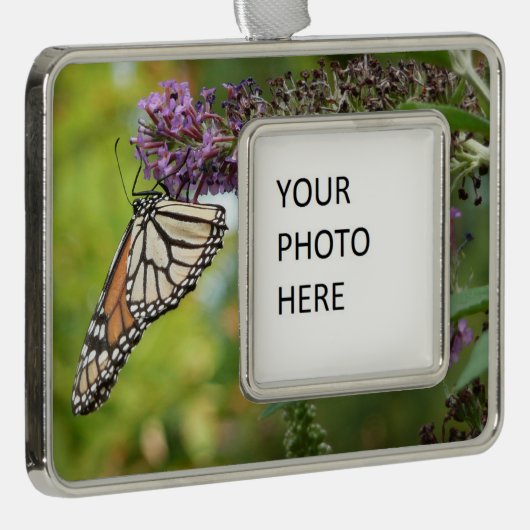 (昆虫)オオカバマダラ、モナークバタフライオンパープルバタフライブッシュ シルバープレートフレームオーナメント (右)