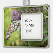 （昆虫）オオカバマダラ、モナークバタフライオンパープルバタフライブッシュ シルバープレートフレームオーナメント (左)