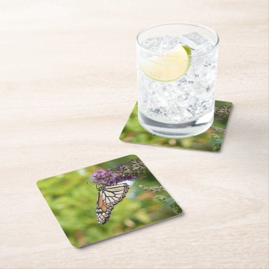 (昆虫)オオカバマダラ、モナークバタフライオンパープルバタフライブッシュ スクエアペーパーコースター (インサイチュ)