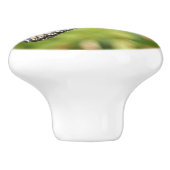 (昆虫)オオカバマダラ、モナークバタフライオンパープルバタフライブッシュ セラミックノブ (側面)