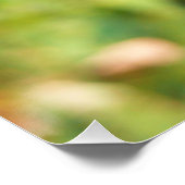 (昆虫)オオカバマダラ、モナークバタフライオンパープルバタフライブッシュ ポスター (コーナー)