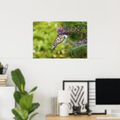 (昆虫)オオカバマダラ、モナークバタフライオンパープルバタフライブッシュ ポスター (ホームオフィス)