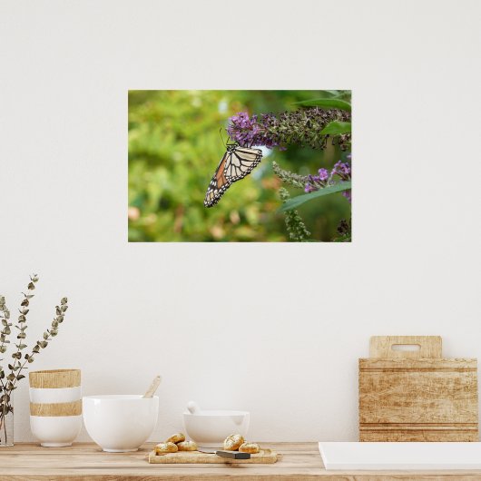 (昆虫)オオカバマダラ、モナークバタフライオンパープルバタフライブッシュ ポスター (キッチン)