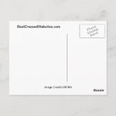 (昆虫)オオカバマダラ、モナークバタフライオンピンクフラワー ポストカード (裏面)