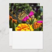 (昆虫)オオカバマダラ、モナークバタフライオンピンクマリゴールド ノートカード (正面/裏面)