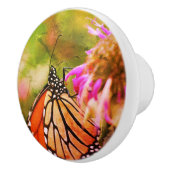 （昆虫）オオカバマダラ、モナークバタフライオンフラワークローズアップ抽象芸術 セラミックノブ (右)