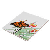 (昆虫)オオカバマダラ、モナークバタフライオンミルクウィード開花、オンホワイト タイル (側面)