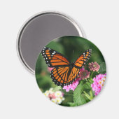 (昆虫)オオカバマダラ、モナークバタフライオンランタナフラワー マグネット (正面/裏面)