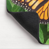 （昆虫）オオカバマダラ、モナークバタフライオンランタナ マウスパッド (コーナー)