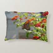 （昆虫）オオカバマダラ、モナークバタフライオンレッドバタフライブッシュ アクセントクッション (裏面)