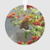 （昆虫）オオカバマダラ、モナークバタフライオンレッドバタフライブッシュ オーナメント (裏面)