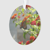 （昆虫）オオカバマダラ、モナークバタフライオンレッドバタフライブッシュ オーナメント (正面)