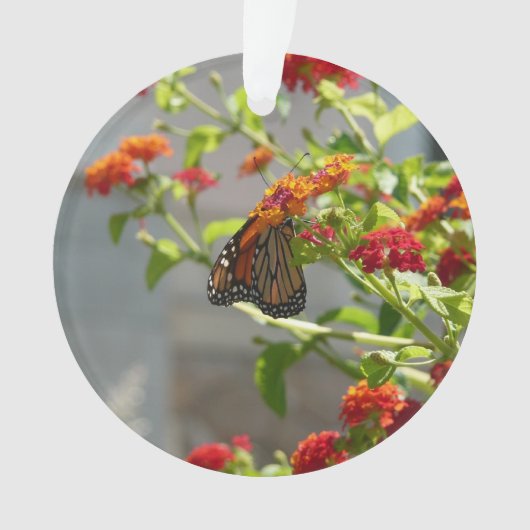（昆虫）オオカバマダラ、モナークバタフライオンレッドバタフライブッシュ オーナメント (正面)