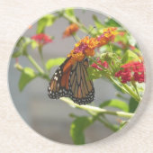 (昆虫)オオカバマダラ、モナークバタフライオンレッドバタフライブッシュ コースター (正面)