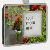 （昆虫）オオカバマダラ、モナークバタフライオンレッドバタフライブッシュ シルバープレートフレームオーナメント (右)