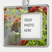 （昆虫）オオカバマダラ、モナークバタフライオンレッドバタフライブッシュ シルバープレートフレームオーナメント (左)