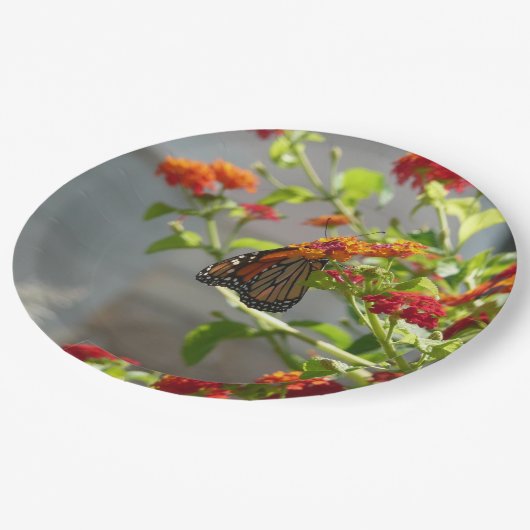(昆虫)オオカバマダラ、モナークバタフライオンレッドバタフライブッシュ ペーパープレート (アングル)
