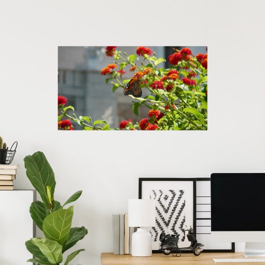 (昆虫)オオカバマダラ、モナークバタフライオンレッドバタフライブッシュ ポスター (ホームオフィス)