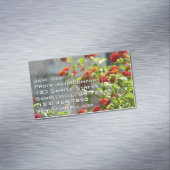 （昆虫）オオカバマダラ、モナークバタフライオンレッドバタフライブッシュ マグネット名刺 (インサイチュ)