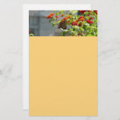 （昆虫）オオカバマダラ、モナークバタフライオンレッドバタフライブッシュ 便箋 (正面/裏面)