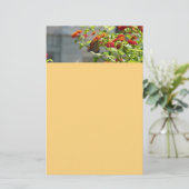 （昆虫）オオカバマダラ、モナークバタフライオンレッドバタフライブッシュ 便箋 (スタンド正面)