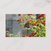 (昆虫)オオカバマダラ、モナークバタフライオンレッドバタフライブッシュ 名刺 (裏面)