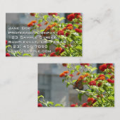 (昆虫)オオカバマダラ、モナークバタフライオンレッドバタフライブッシュ 名刺 (正面/裏面)