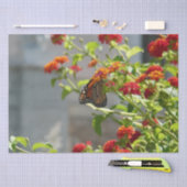 (昆虫)オオカバマダラ、モナークバタフライオンレッドバタフライブッシュ 薄葉紙 (クラフト)