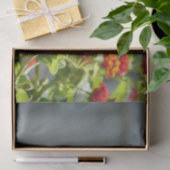 (昆虫)オオカバマダラ、モナークバタフライオンレッドバタフライブッシュ 薄葉紙 (ギフト)