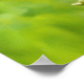 (昆虫)オオカバマダラ、モナークバタフライオンワイルドフラワーウォーターカラーアート ポスター (角)