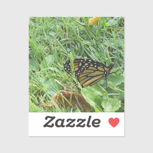 （昆虫）オオカバマダラ、モナークバタフライカスタムカットビニールシール シール (シート)