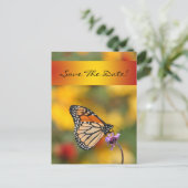 （昆虫）オオカバマダラ、モナークバタフライカード 案内ポストカード (スタンド正面)