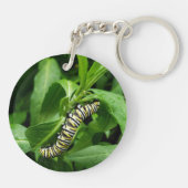 (昆虫)オオカバマダラ、モナークバタフライキャタピラ写真 キーホルダー (裏面)