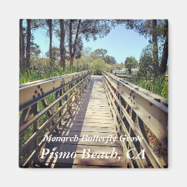 （昆虫）オオカバマダラ、モナークバタフライグローブ：ピスモビーチ、カリフォルニア州 マグネット