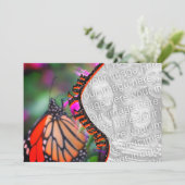 （昆虫）オオカバマダラ、モナークバタフライサンキューフォトカード サンキューカード (スタンド正面)