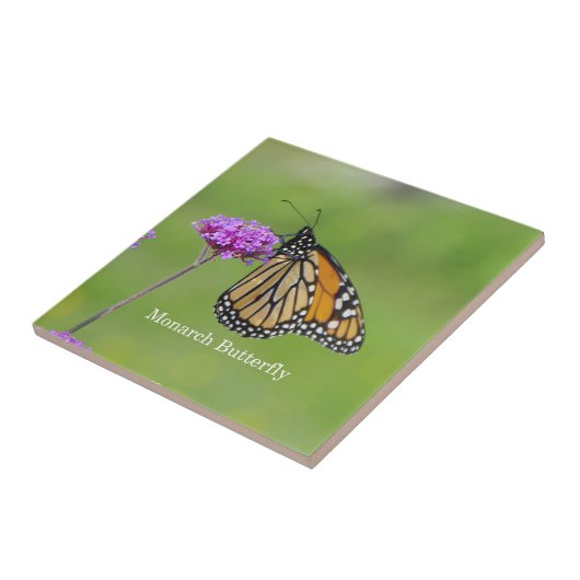 (昆虫)オオカバマダラ、モナークバタフライタイル タイル (側面)