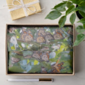 (昆虫)オオカバマダラ、モナークバタフライティッシュペーパー 薄葉紙 (ギフト)