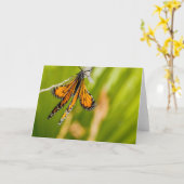 (昆虫)オオカバマダラ、モナークバタフライドライウィンググリーティングカード カード (黄色い花)