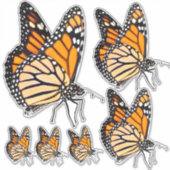 (昆虫)オオカバマダラ、モナークバタフライビニールシールシート シール (正面)